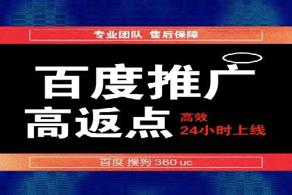 百度推广费用投入与品牌知名度提升的案例分析