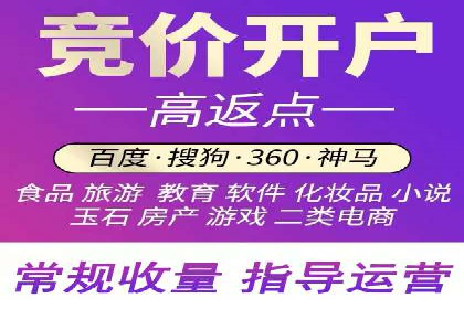 百度竞价广告投放策略：案例分析及效果评估